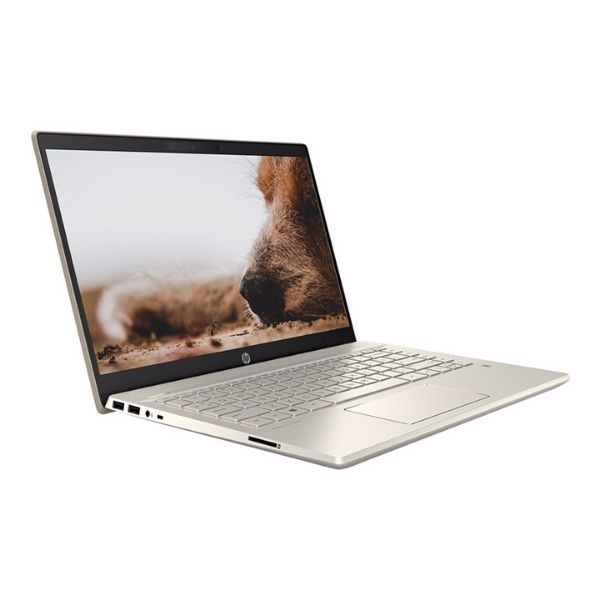 laptop-hp-pavilion-14-hoc-online-gia-re-cho-sinh-vien-2_303fe6ffafaa44baa89db8f837702847_1024x1024